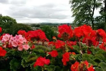The Mount Malton
